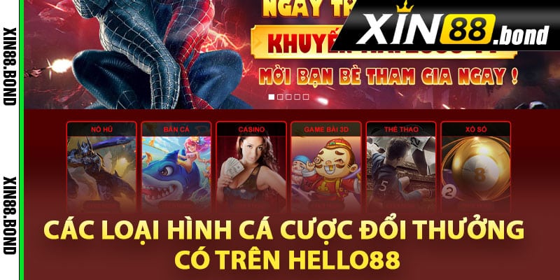 Các loại hình cá cược đổi thưởng có trên Hello88