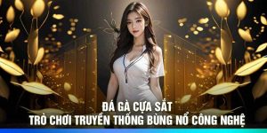 Đá Gà Cựa Sắt – Trò Chơi Truyền Thống Bùng Nổ Công Nghệ