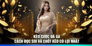 Kèo Cược Đá Gà: Cách Đọc, Soi Và Chốt Kèo Có Lợi Nhất