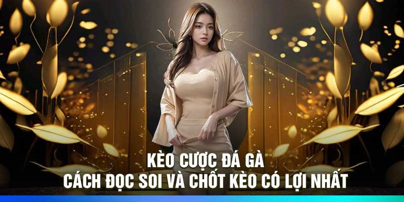 Kèo Cược Đá Gà: Cách Đọc, Soi Và Chốt Kèo Có Lợi Nhất